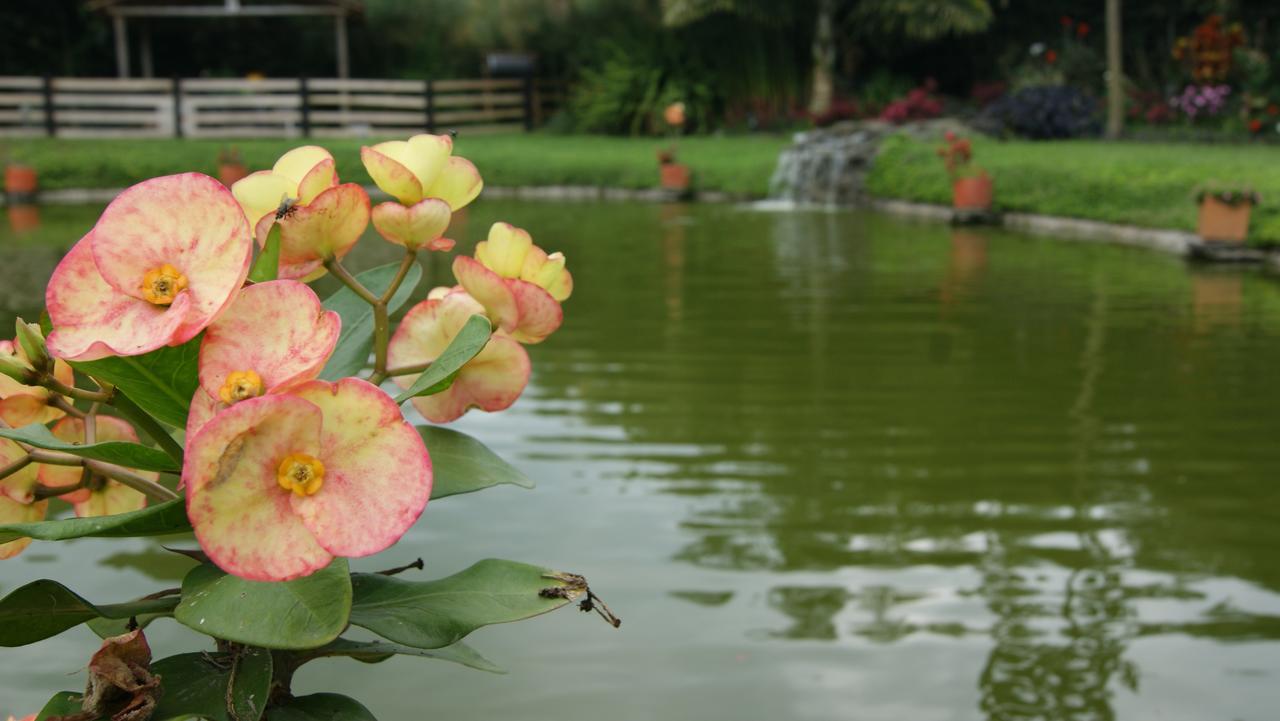 סנטה רוזה דה כבאל Matisses Hotel & Spa מראה חיצוני תמונה